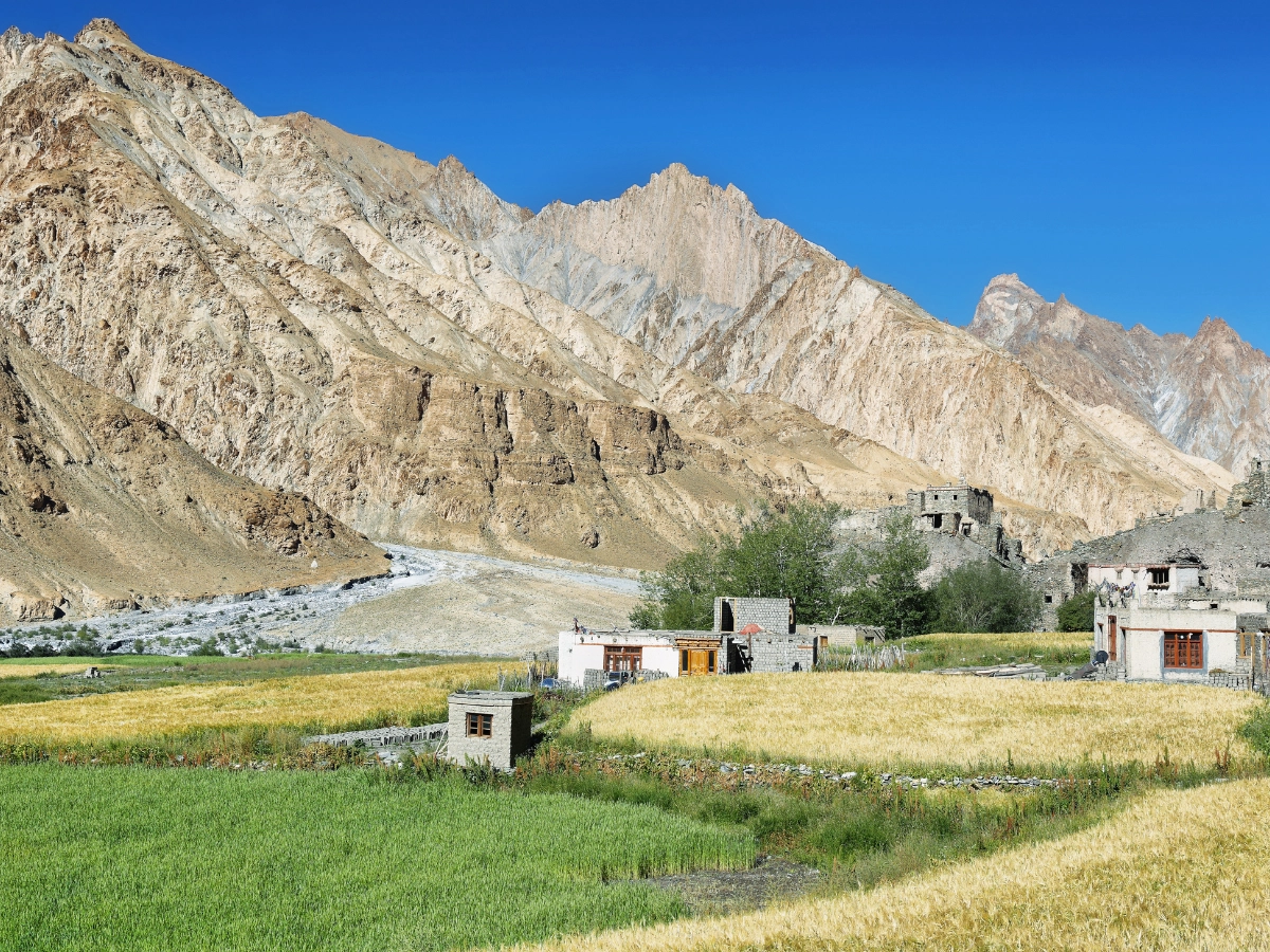 Markha Valley Trek, Ladakh