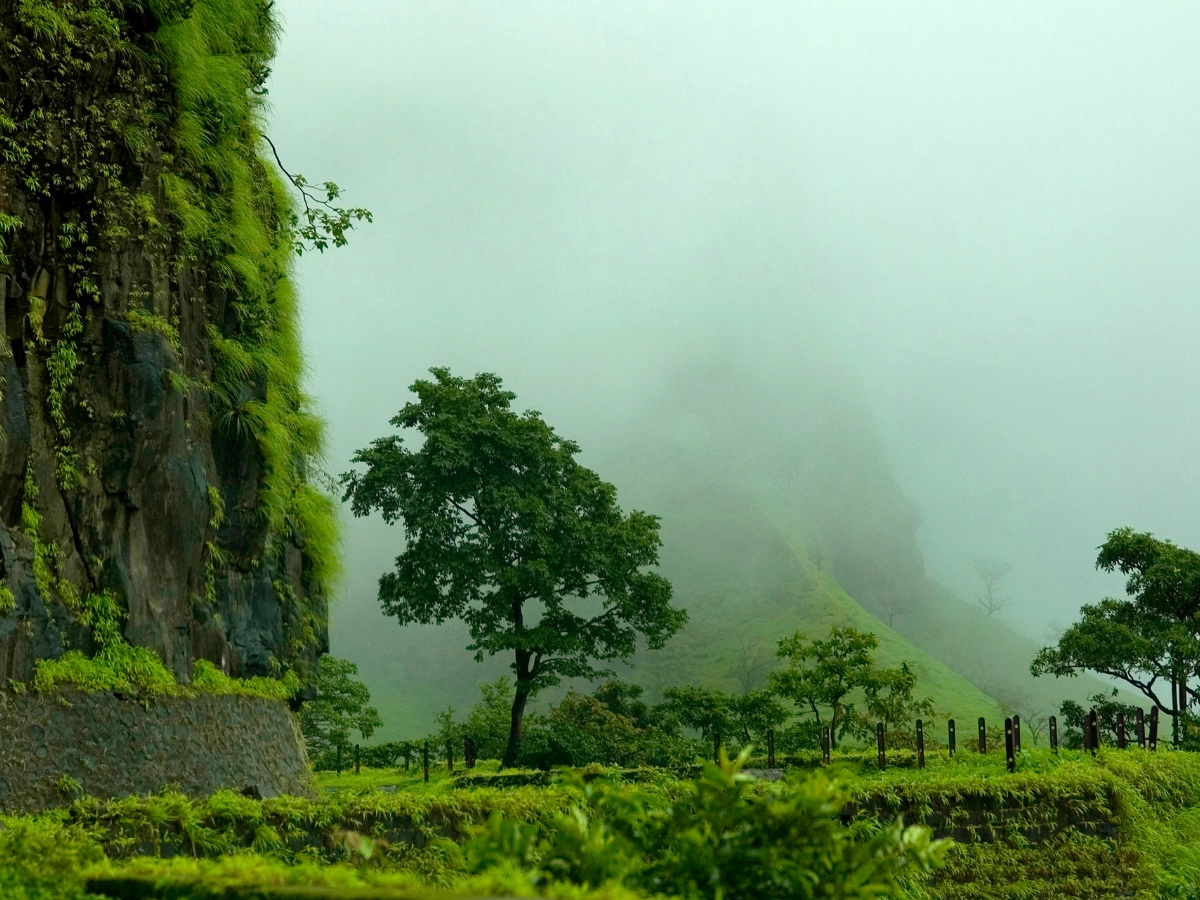 Rajmachi Trek, Maharashtra