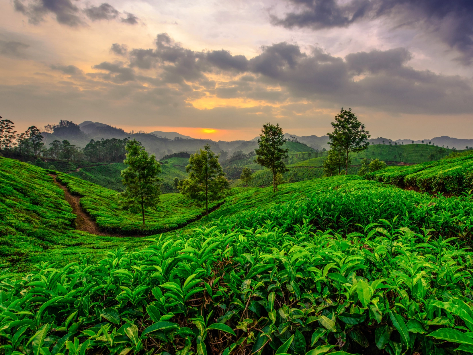 munnar